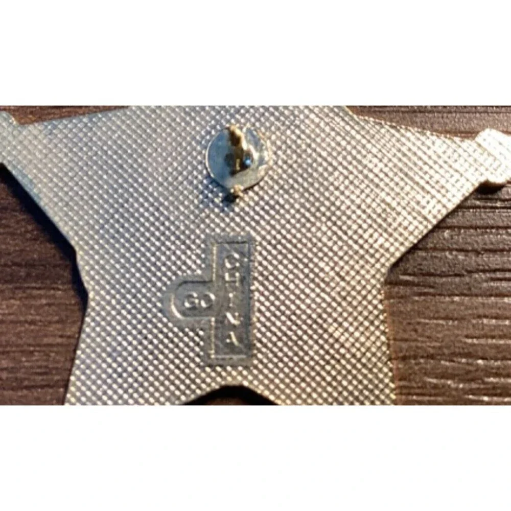 CPSO Texas Creative Problem Solver Pin Gold Tone Star